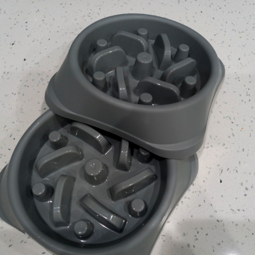 Slow Dog feeder